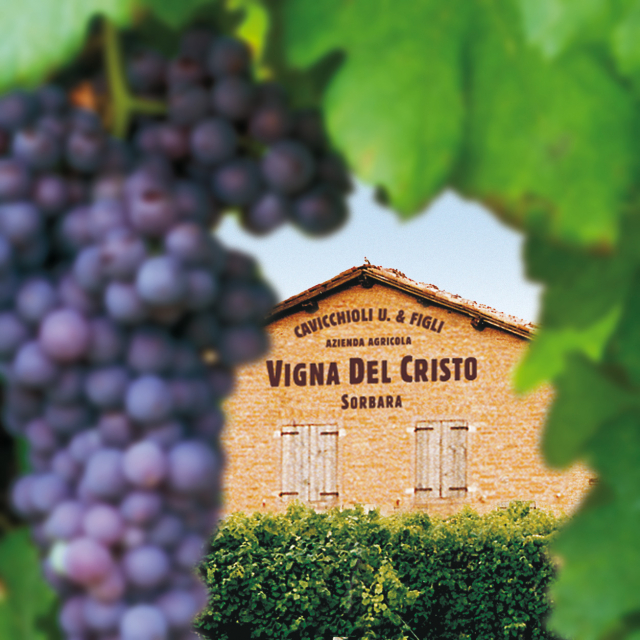 CH Vigna del Cristo casa