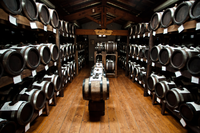 pedroni acetaia 2014 7